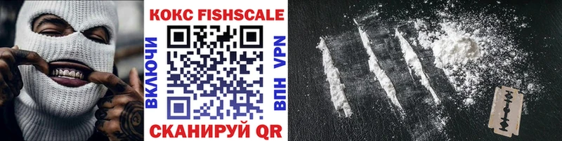 где можно купить   KRAKEN как войти  COCAIN Fish Scale  Сланцы 
