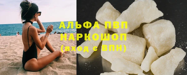 гидра Богданович