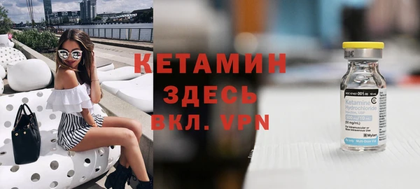 гидра Богданович