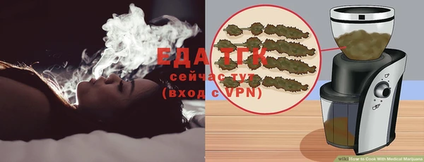 гидра Богданович