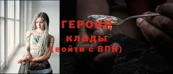 гидра Богданович