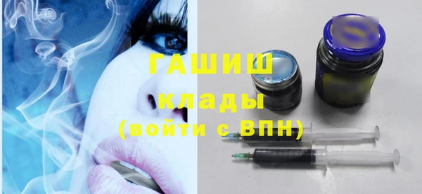 гидра Богданович