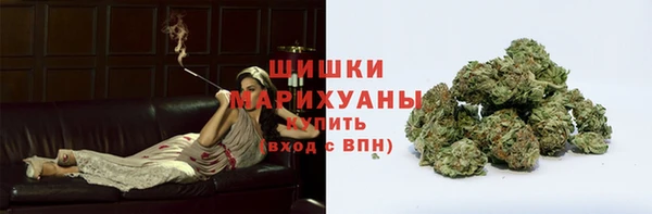 гидра Богданович