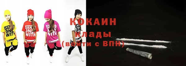 гидра Богданович