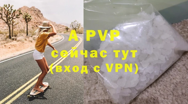 гидра Богданович