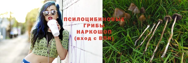альфа пвп Богородицк